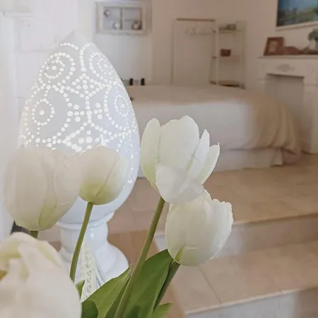 Apartment Tulipano Bianco