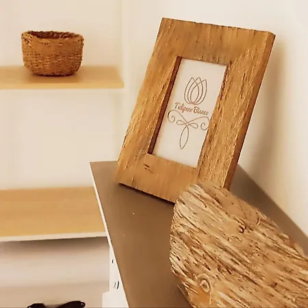 Tulipano Bianco Ostuni