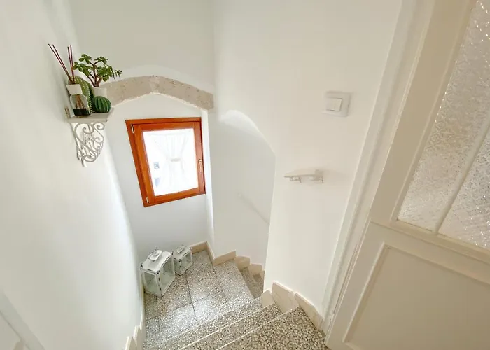 Tulipano Bianco Ostuni