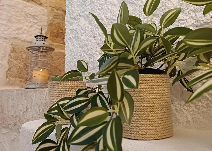 Appartement Tulipano Bianco Ostuni