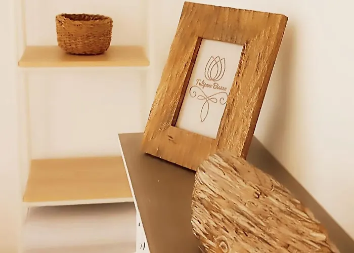 Tulipano Bianco Ostuni