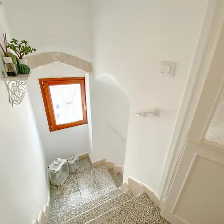Tulipano Bianco Ostuni