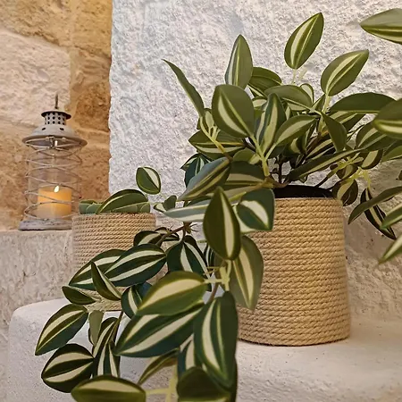 דירה Tulipano Bianco אוסטוני