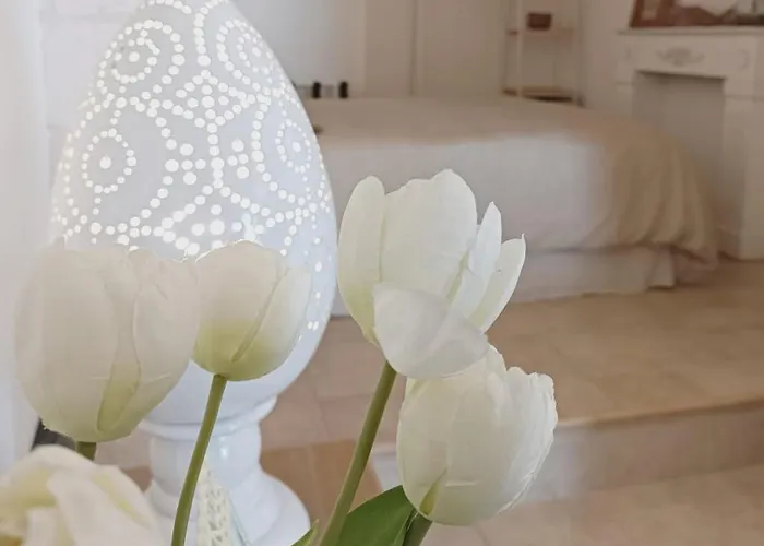Apartment Tulipano Bianco